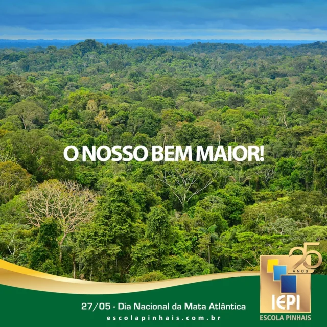 A Mata Atlântica é um tesouro natural que precisa ser protegido. Conservar é garantir água, ar puro e vida para as próximas gerações. 💚🌱🌳 

#iepi #escolapinhais #pinhais #paraná #brasil #mataatlântica